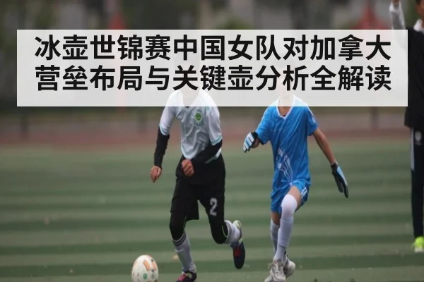 冰壶世锦赛中国女队对加拿大营垒布局与关键壶分析全解读 - c7c7